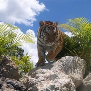 Meet your Posher, Kathi